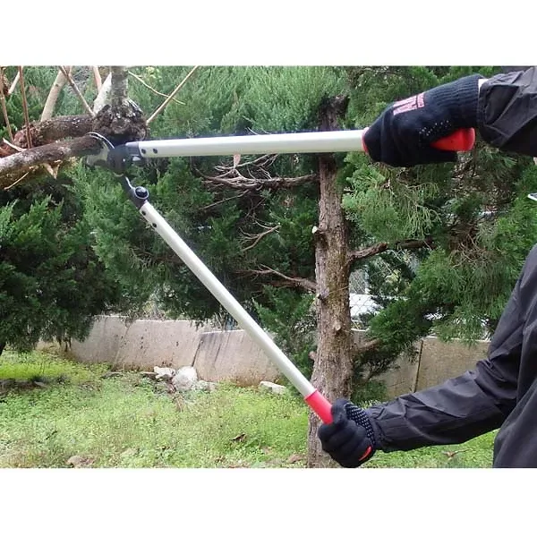 ARS LPB-30L Orchard Lopper (30")