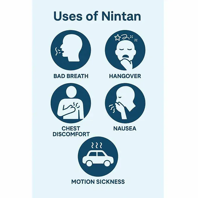Nintan Bottle – 3,250 Tablets (Refreshing Agent)