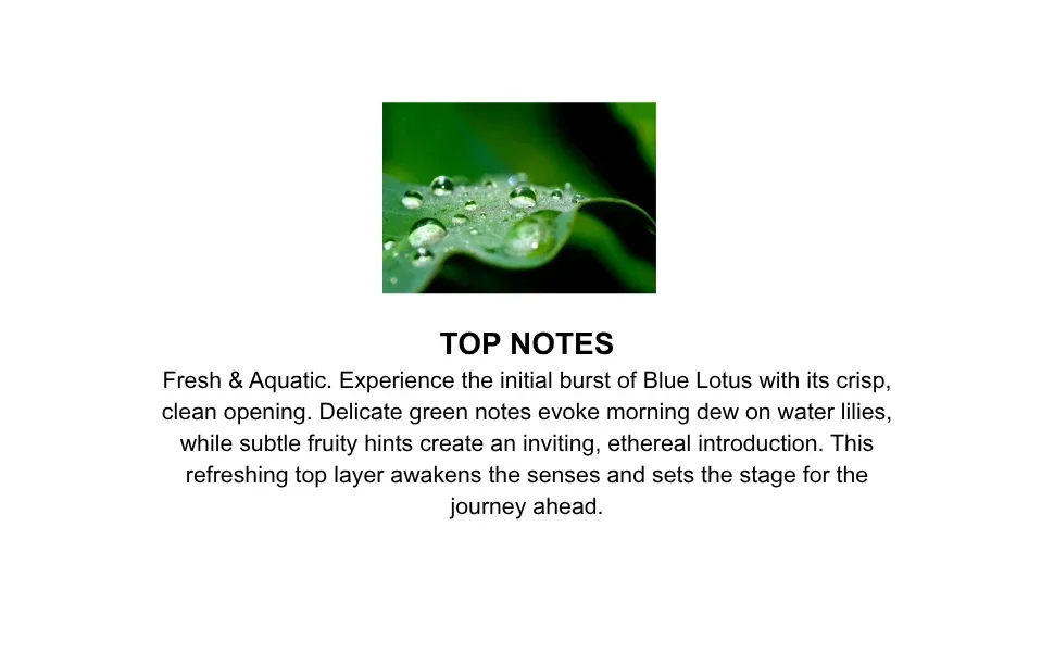 SEX MAGNET Pheromone Massage Oil - Blue Lotus