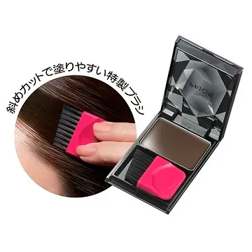 Prior Instant Gray Hair Cover Foundation